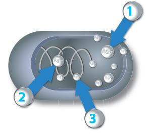 Ионы серебра. Ионы серебра бактерия. Ионы серебра антибактериальные. Отрицательные ионы серебра.
