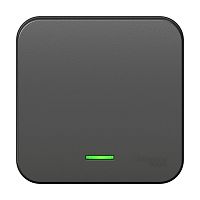 Выключатель о/у Бланка 1кл антрацит IP20 10А c инд. и с изол.пл. (упак-15 шт) SchE          