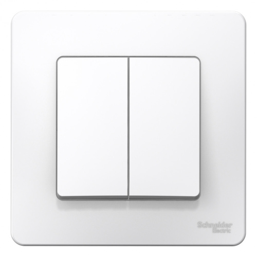 Выключатель с/у Бланка 2кл белый IP20 10А (упак-10шт) SchE                                         фото 2                    