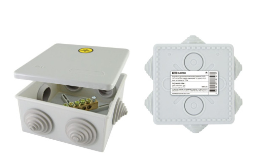 Коробка уравнивания потенциалов (КУП) ОП 100х100х50 мм ТДМ                                        