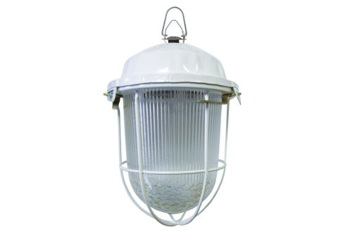 Светильник НСП 100Вт E27 02-100-002.01 У2 (с решеткой, стекло, крюк) ТДМ                                        